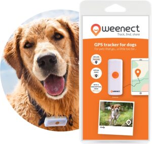 Weenect-Localizador GPS 